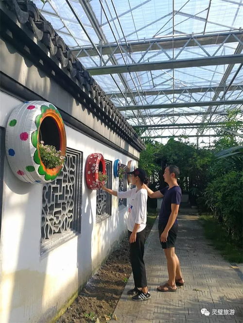 关于奇石文化园暂停开放的最新通知